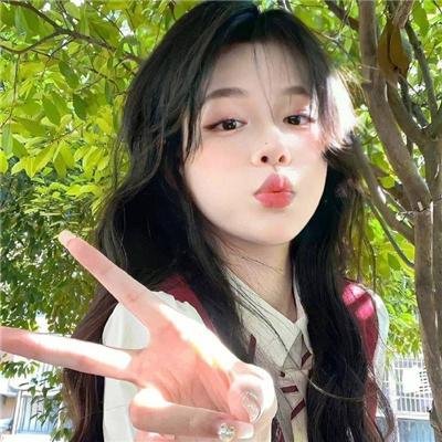 一棵树的纠纷